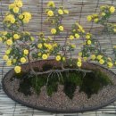 삼익공인중개사사무소 이미지