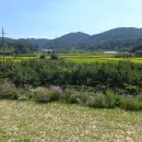 아우내순대국 - 관악구 봉천로 490 | 아우내순대국