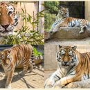 미호의원 이미지