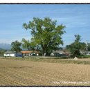 관동마을 진입로 이미지