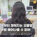 샤트렌 | 헤어나올수없어 부평역 미용실 르미네상스 모발클리닉 덕분에 찰랑거리는 일상 회복