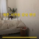 부르네펜션 | 제주 서귀포 감성 펜션 부르네스테이 이용 방법과 주차 정보 안내