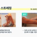 애룰바디 이미지