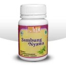 양학농장 | 콜레스테롤시금치. 삼붕초 .명월초분말.삼붕초분말.삼붕초초먹는법 중에서 발췌