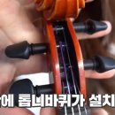 신세계바이올린