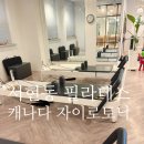 캐나다필라테스 - 강남구 강남대로94길 86 | 서현동 캐나다필라테스 자이로토닉에서 그룹필라테스 후기 근육통을 곁들인.. ✨