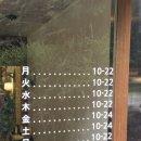 호평 천마산-1[호평-2] | 남양주 호평 브런치카페 미아무, 분위기만 예쁜 줄 알았는데 파스타까지 찐맛집! 재방문하고 싶은 곳