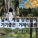 [거제도] 거제식물원 : 정글돔 실내 여행지 추천! 날씨 상관없이 데이트 가볼만한 곳