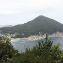 홍포마을 이미지