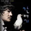 갈매기꿈 이미지