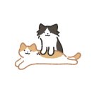 이런이궈 이미지