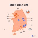 알파카서비스