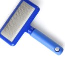 토토펫 애견미용 이미지