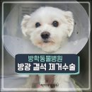 방학동물병원 이미지