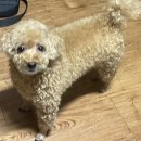 큐브뮤직타운포항영일대점 네이버블로그