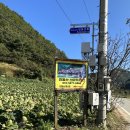 민둥산산마루시루봉펜션 이미지