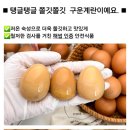 탱글탱글 쫄깃한 구운계란 이미지