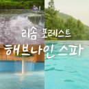 우리가족힐링푸드테라피2 | 제천 리솜 포레스트 해브나인 스파 후기 | 부모님과 함께한 완벽한 온천 여행