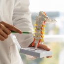 척추통증 병의원 때아닌 환자 민원 몸살 "실손보험사 횡포" 이미지