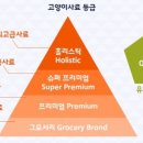 스파리버 캐터리 이미지