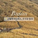 간월재최단코스 억새 절정 주차장 휴게소 등 후기!🌾