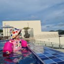 리조트 라움6동 | 진짜 숙소(만!)보고 떠난 여행!! 순천 리조트라움 6동 101호 다녀온 후기