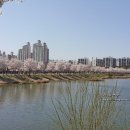 만석공원 이미지