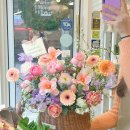 아뜰리에 몽 이미지