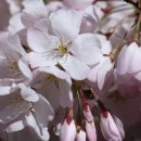 산성로R 이미지