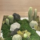 바로고침한의원 이미지