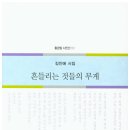 김인애 시집 『흔들리는 것들의 무게』 이미지