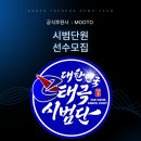 대한민국 태극시범단 이미지