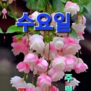 입가에미소