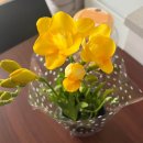 240406-30/ 일만하는데 쟴생 어떡쾨 삻아?2주만에 GTQ, GTQi 따기