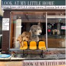 마이리틀차차(my little chacha) | [순천 카페] 푸들 강아지가 반겨주는 옥천동 카페, 룩앳마이리틀홈! 쌀라떼 맛집 (삼천포 주의)