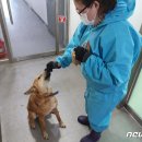 경기용인지역자활센터[더 건강하개] 이미지