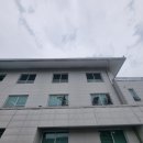 크리사비