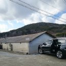 대흥반점 | [정읍] 대흥반점 해물 왕창 가성비 내돈내산 후기