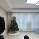 하오니네