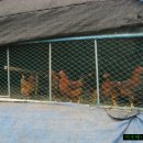 양지가든 이미지