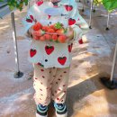 응골농장 이미지