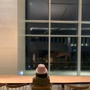 설화국가족호텔(주) | 가족여행 강릉 씨마크호텔 프리미엄 디럭스 객실 1박 후기