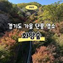 번지없는주막 | [경기도 단풍 명소] 화담숲 가을 여행 코스 추천 + 번지 없는 주막 해물파전 솔직 후기