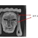 안동오리 이미지