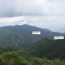 곡성-239 Daum카페