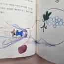 요리조리고전그림책 이미지