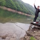 평화민박 이미지