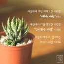즐거운 인셀덤