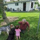 이웃집 댕댕이 이미지