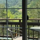 오이코스테이 이미지